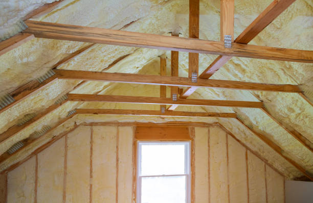 Best Professional Insulation Contractor  in Juarez, TX