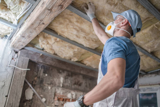 Best Attic Insulation Installation  in Juarez, TX