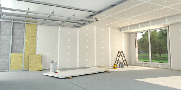 Best Insulation Removal  in Juarez, TX