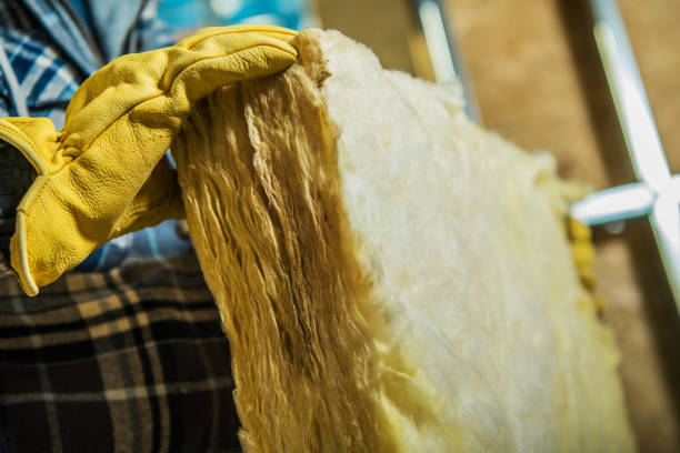 Best Cellulose Insulation  in Juarez, TX