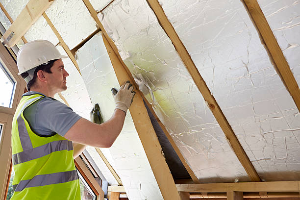 Best Best Insulation Companies  in Juarez, TX